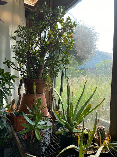 Florist «Butler Florist & Garden Center», reviews and photos, 416 Park Rd, West Hartford, CT 06119, USA