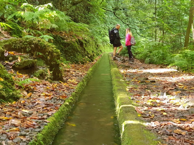 Madeira Free Spirit Walks