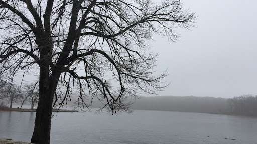 Nature Preserve «Bullfrog Lake», reviews and photos, 9600 Wolf Rd, Willow Springs, IL 60480, USA