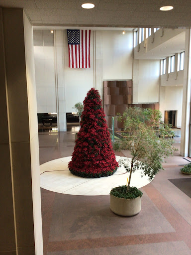 Personal Injury Attorney «Morris Bart, LLC», reviews and photos