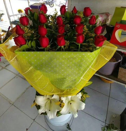 Floreria FESAVI – Ixtapaluca