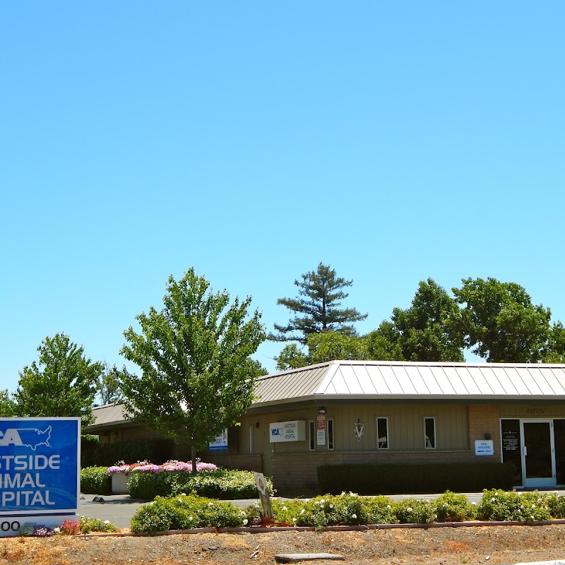 VCA Westside Animal Hospital