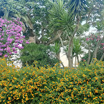 Photo n°6 de l'avis de marta.r fait le 07/08/2022 à 11:20 sur le  Delta Hotels Giardini Naxos à Giardini Naxos