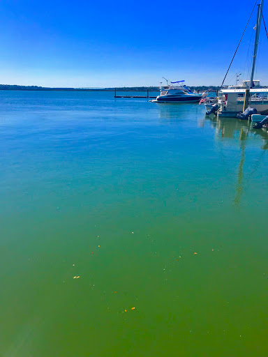 Park «Henry C. Chambers Waterfront Park», reviews and photos, Bay St, Beaufort, SC 29902, USA