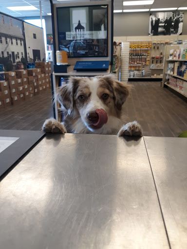 Paint Store «City Paint», reviews and photos, 3141 W Colorado Ave, Colorado Springs, CO 80904, USA