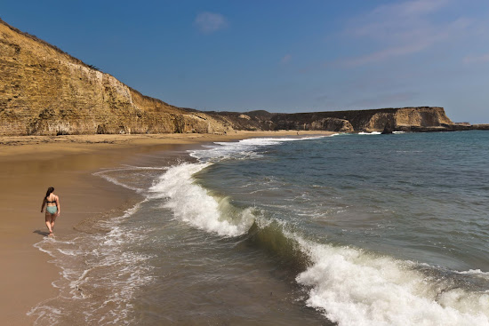 Davenport Beach