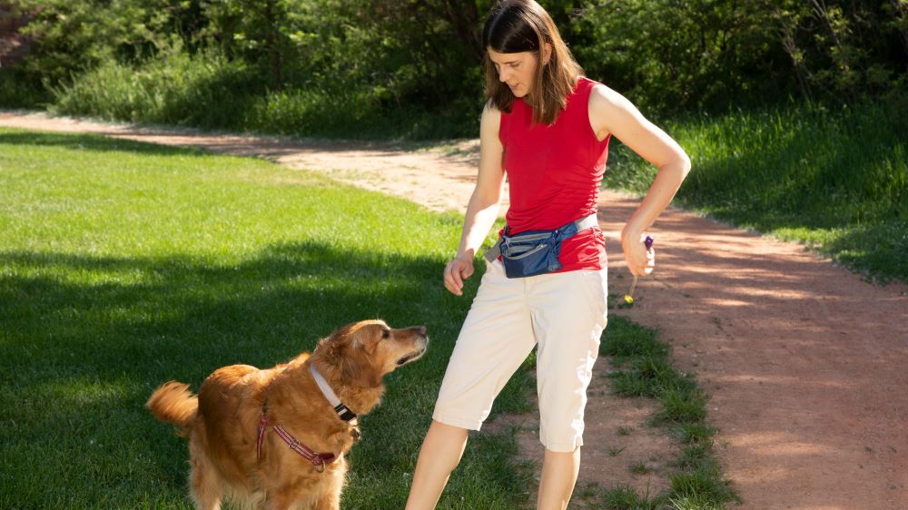 Southern Colorado Animal Assisted Therapy & Training