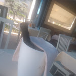 Photo n°4 de l'avis de Giorgia.e fait le 22/05/2022 à 10:39 sur le  Sapio à Lignano Sabbiadoro