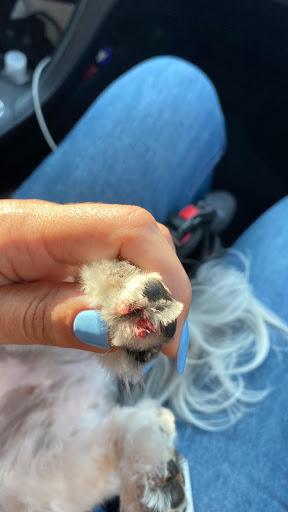 Pet Supply Store «Petco Animal Supplies», reviews and photos, 1150 Concord Ave #160, Concord, CA 94520, USA