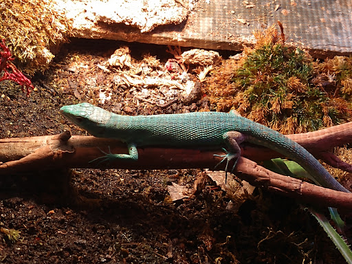 Pet Store «The Pet Works», reviews and photos, 407 4th Ave E, Olympia, WA 98501, USA