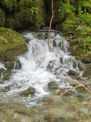 La Gourgue à Esparros