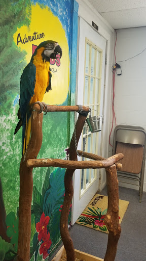 Pet Store «Adventure Birds of Bon Aqua», reviews and photos, 9600 TN-46, Bon Aqua, TN 37025, USA