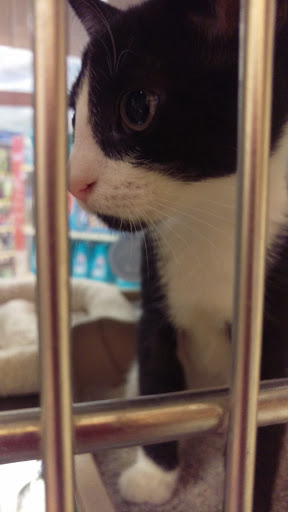 Pet Supply Store «PetSmart», reviews and photos, 3010 Brandywine Pkwy, Wilmington, DE 19803, USA