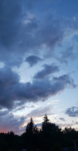 Insurance Agency «AAA Clackamas Service Center», reviews and photos