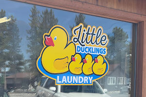 Little Ducklings Laundry image