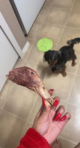 Pet Supply Store «Woof Gang Bakery & Grooming Lake Mary», reviews and photos, 1210 International Pkwy #118, Lake Mary, FL 32746, USA