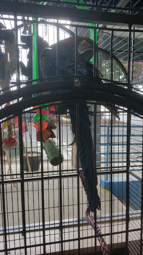 Pet Store «Last Place on Earth Pet Store», reviews and photos, 1461 E Franklin Blvd, Gastonia, NC 28054, USA