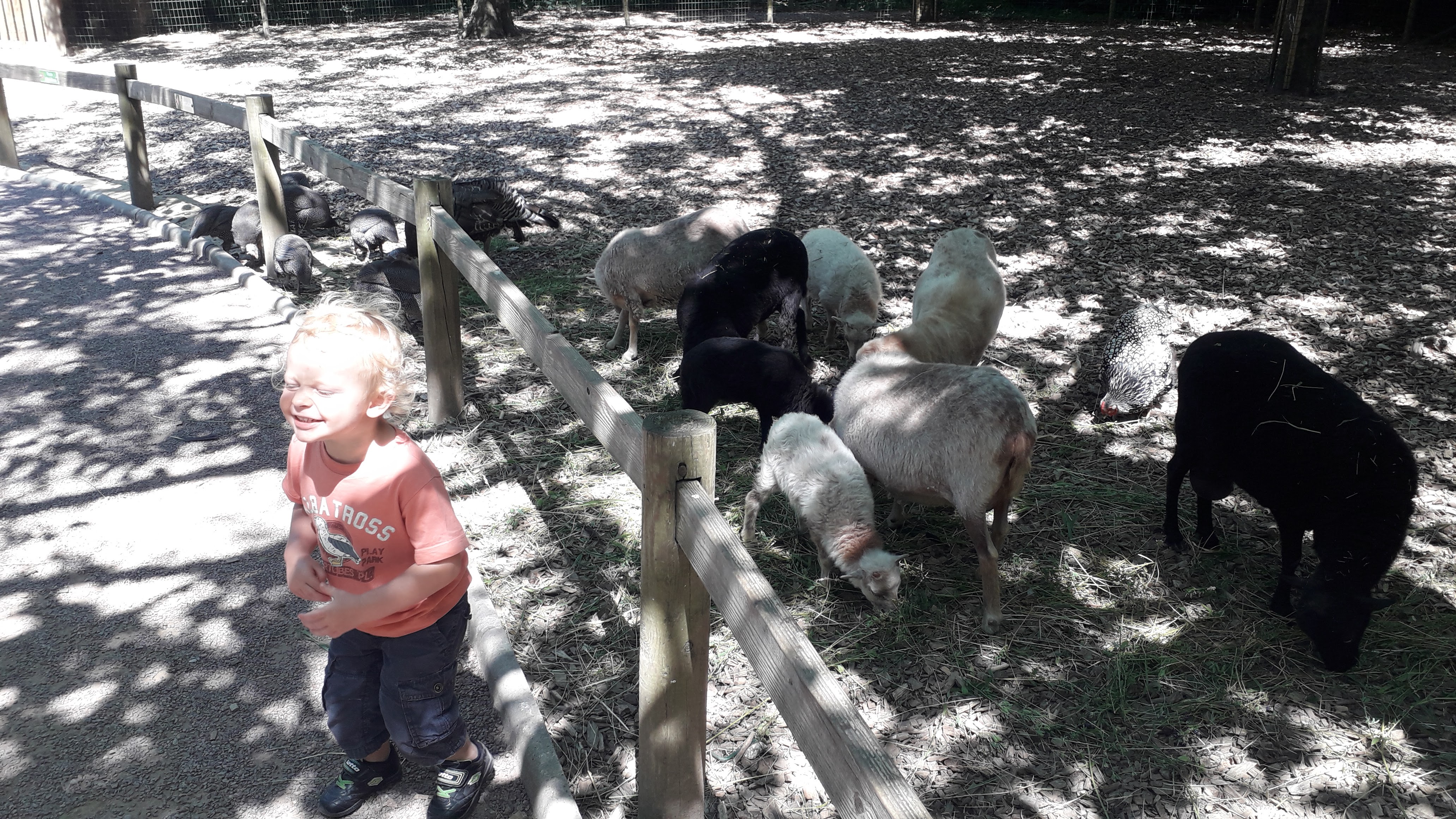 Photo n° 3 de l'avis de Melody. fait le 14/07/2019 à 09:31