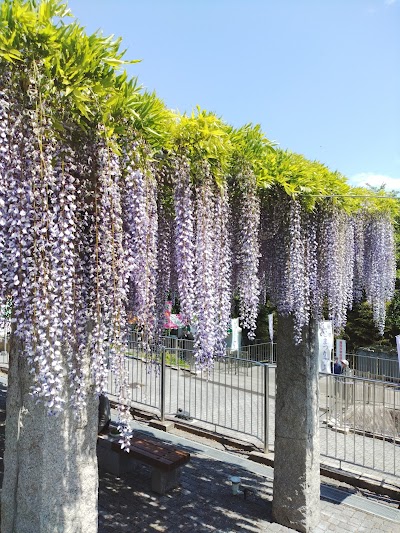 藤岡市みかぼみらい館