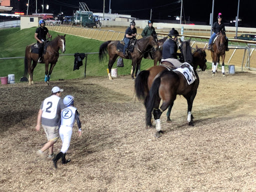 Casino «Hollywood Casino at Charles Town Races», reviews and photos, 580 E 5th Ave, Ranson, WV 25438, USA