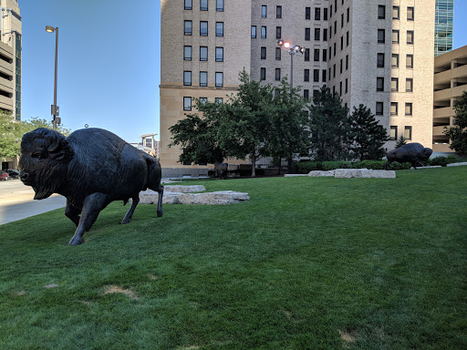 Bank «First National Bank», reviews and photos