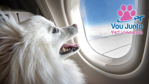 Logo da empresa - Vou Junto Pet Viagens