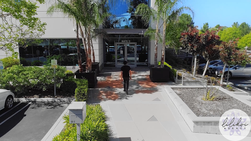 lilikoi agency image