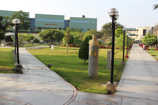Universidades de medicina en Trujillo