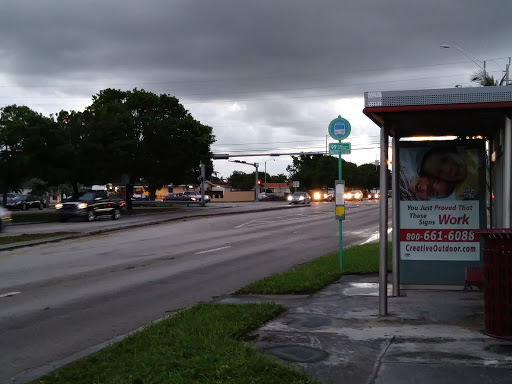 Dollar Store «Dollar Tree», reviews and photos, 4601 NW 199th St, Miami Gardens, FL 33055, USA