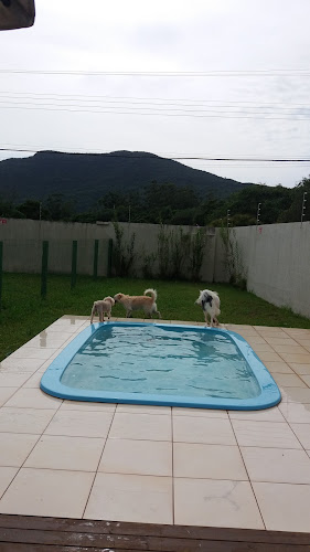 Comentários e avaliações sobre Clube do Carinho - Hotel & Spa para Pets