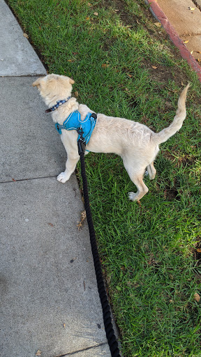 Pet Supply Store «Petco Animal Supplies», reviews and photos, 2910 Wilshire Blvd, Santa Monica, CA 90403, USA