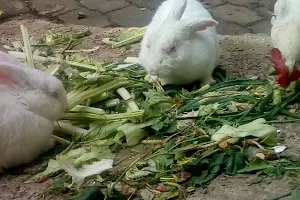 Ecological Park Santa Ursula Brotherhood Coyoacan Arlington image