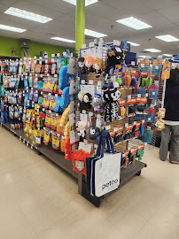 Unleashed by Petco - Photo 9 - Car repair in Alexandria, VA, Washington