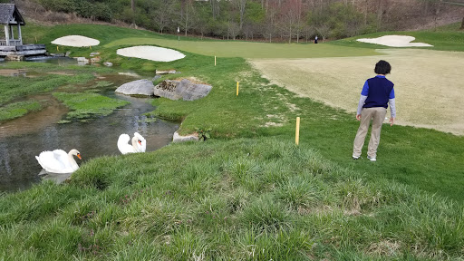 Golf Club «Virginian Golf Club», reviews and photos, 22512 Clubhouse Ridge, Bristol, VA 24202, USA