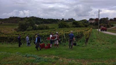Vrai Canon Bouché à Fronsac