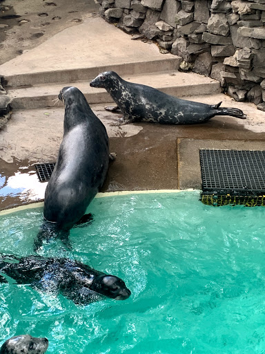 Aquarium «Aquarium of Niagara», reviews and photos, 701 Whirlpool St, Niagara Falls, NY 14301, USA