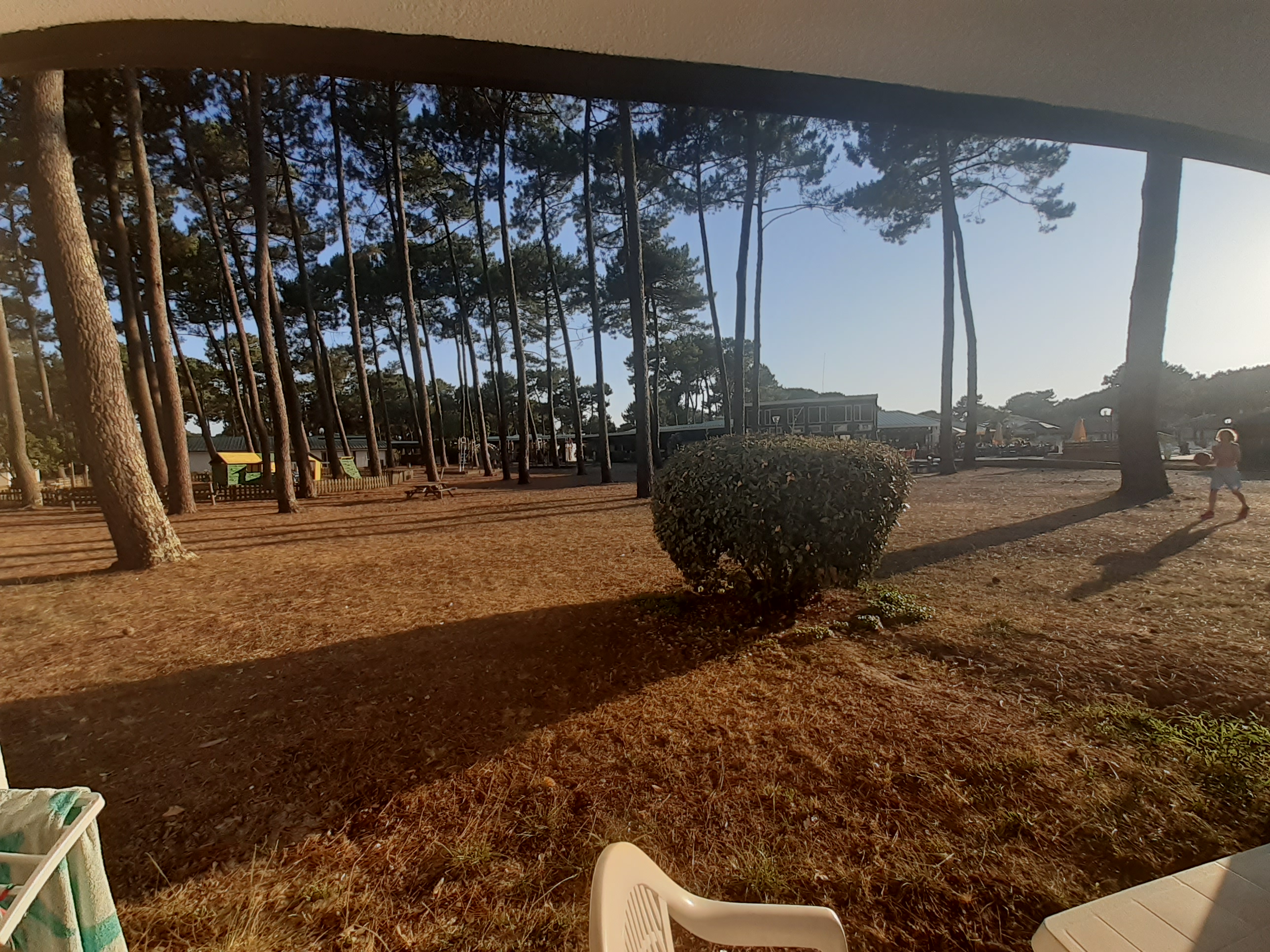 Photo n° 2 de l'avis de Grégoire. fait le 29/07/2022 à 19:26