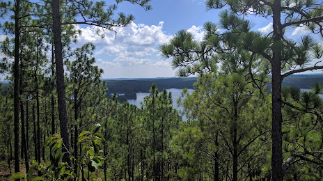 Glass Repair in Jacksons' Gap, AL