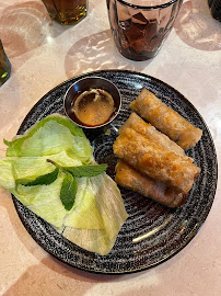 Rouleau de printemps du Restaurant de cuisine fusion asiatique Restaurant Mandala à Strasbourg - n°4