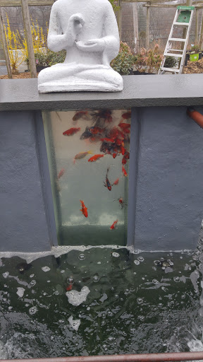 Tree Service «Exquisite Environments», reviews and photos, 1351 Stillwater Rd, Stamford, CT 06902, USA