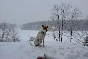 Meadow Pond Animal Hospital image