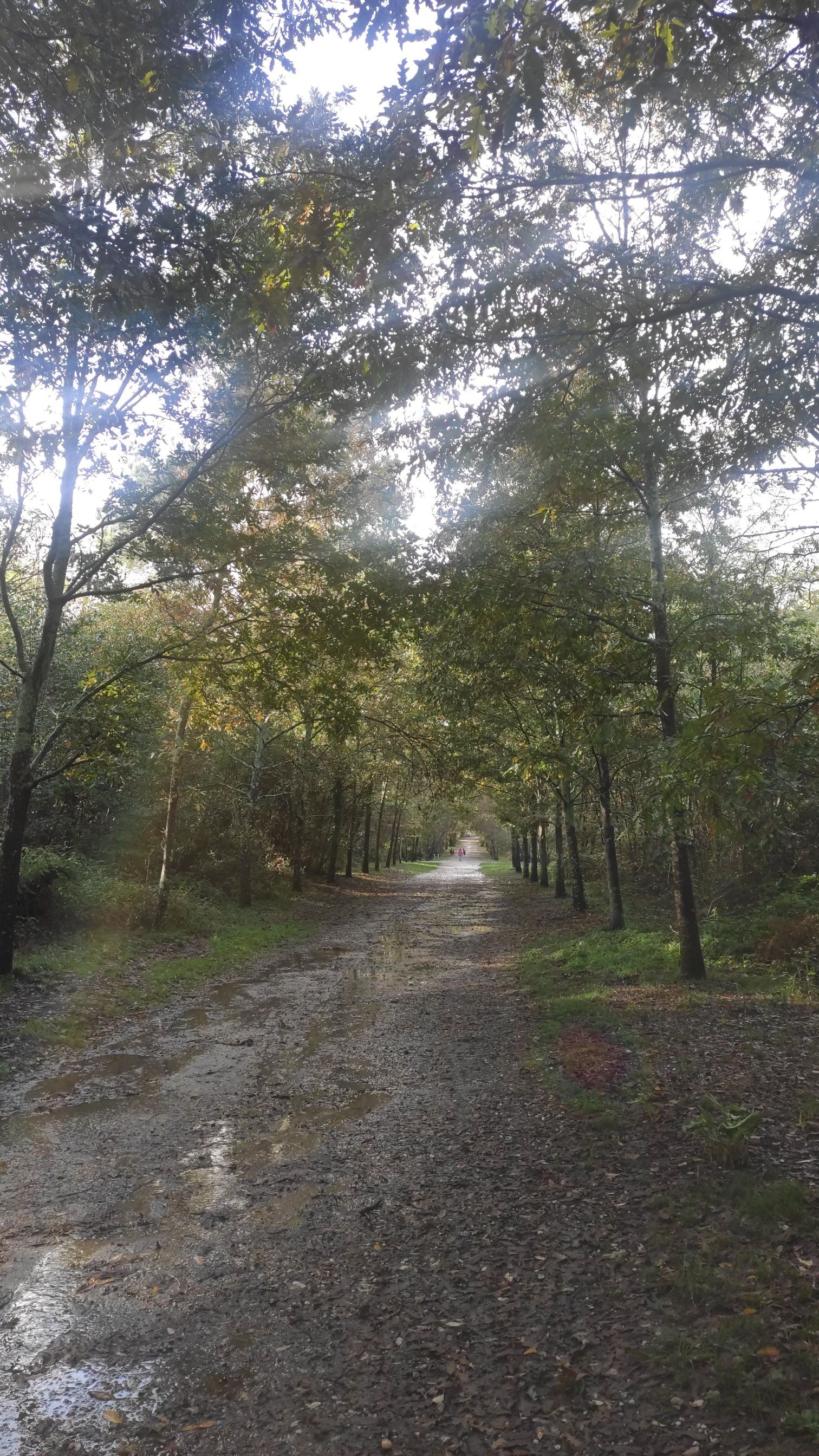 Photo n° 2 de l'avis de El.a fait le 11/12/2023 à 09:43