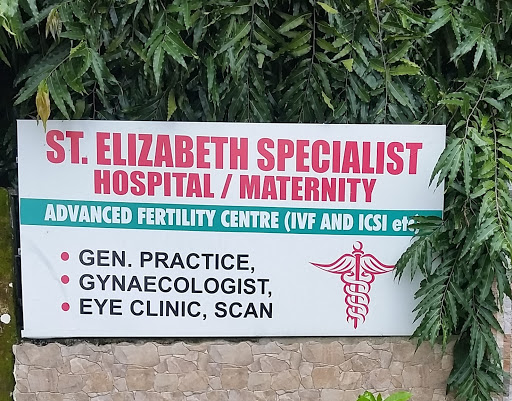 St. Elizabeth Fertility Specialists, 10 Government House road, Owerri, Nigeria, Psychologist, state Imo
