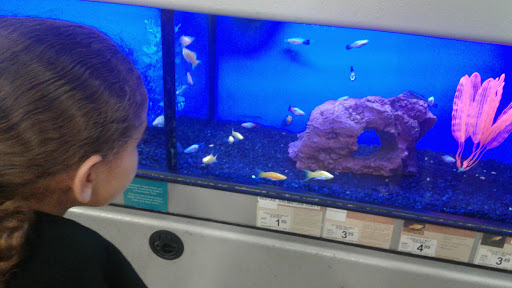 Pet Supply Store «Petco Animal Supplies», reviews and photos, 9137 Central Ave a, Montclair, CA 91763, USA