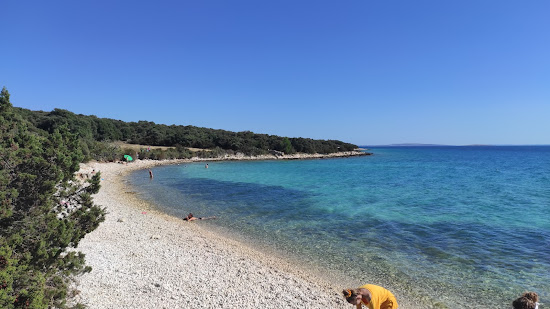 Stork beach