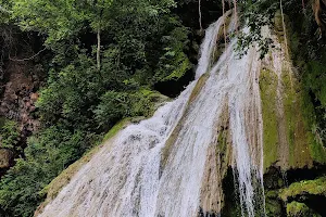 Thiryani waterfalls image