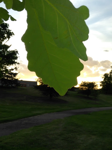 Park «Vanderbilt Park», reviews and photos, 855 S Platte River Dr, Denver, CO 80223, USA