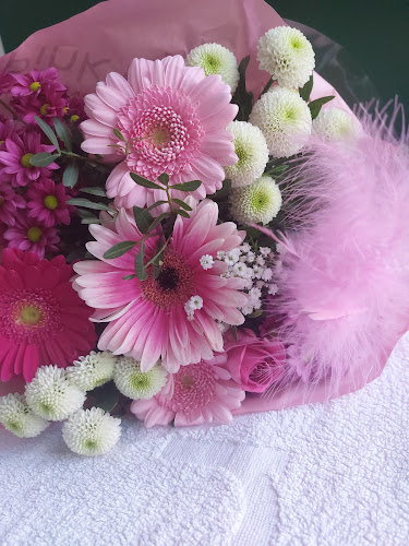 Roelantstraat 6, 1055 LP Amsterdam