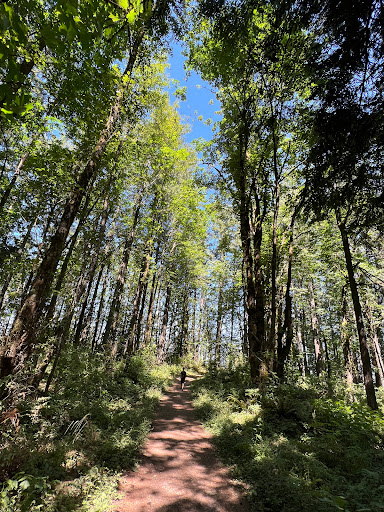 BPA Road Trailhead Parking