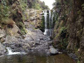 Waipu Gorge Scenic Reserve